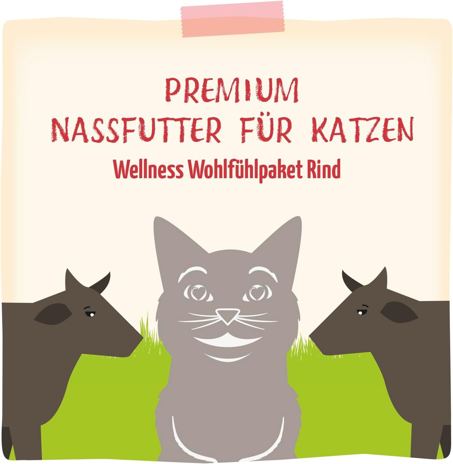 MjAMjAM - prémiové mokré krmivo pro kočky - wellness balíček hovězí maso, balení 12 ks (12 x 125 g), bez obilovin s extra masem