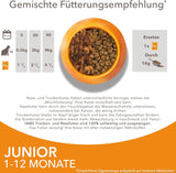IAMS Delights Kitten Nassfutter - Multipack Katzenfutter mit Hunn in Sauce, vysoce kvalitní Futter für Junior Kätzchen von 1-12 Monate, 12 x 85 g