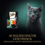 Mokré krmivo pro kočky Sheba Selection v porcovaných sáčcích s kuřecím a hovězím masem v omáčce 28x85g