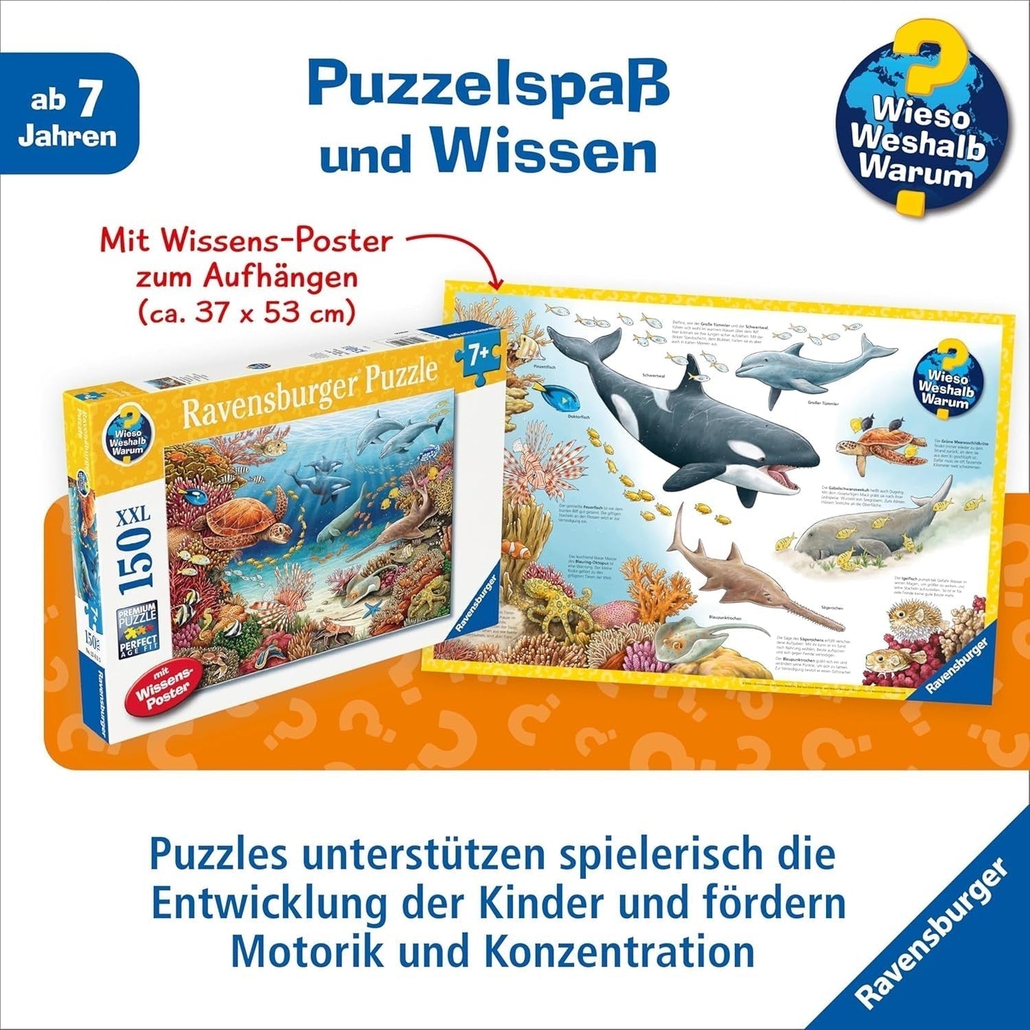 Dětské puzzle Ravensburger 13411 - Mořská stvoření na korálovém útesu - Proč? Proč? Proč? Puzzle 150 dílků XXL + vědomostní plakát, pro děti od 7 let Puzzle Naty Shop