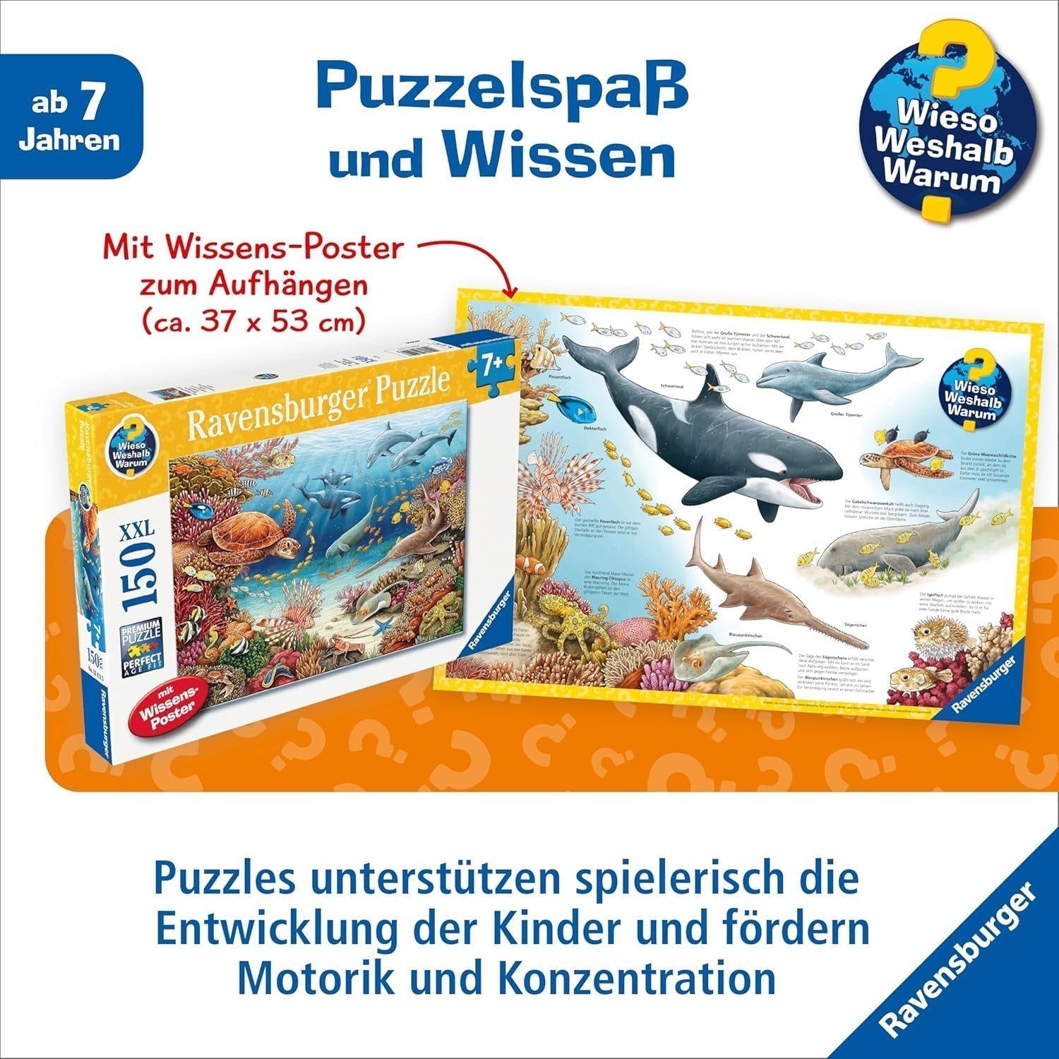 Dětské puzzle Ravensburger 13411 - Mořská stvoření na korálovém útesu - Proč? Proč? Proč? Puzzle 150 dílků XXL + vědomostní plakát, pro děti od 7 let Puzzle Naty Shop