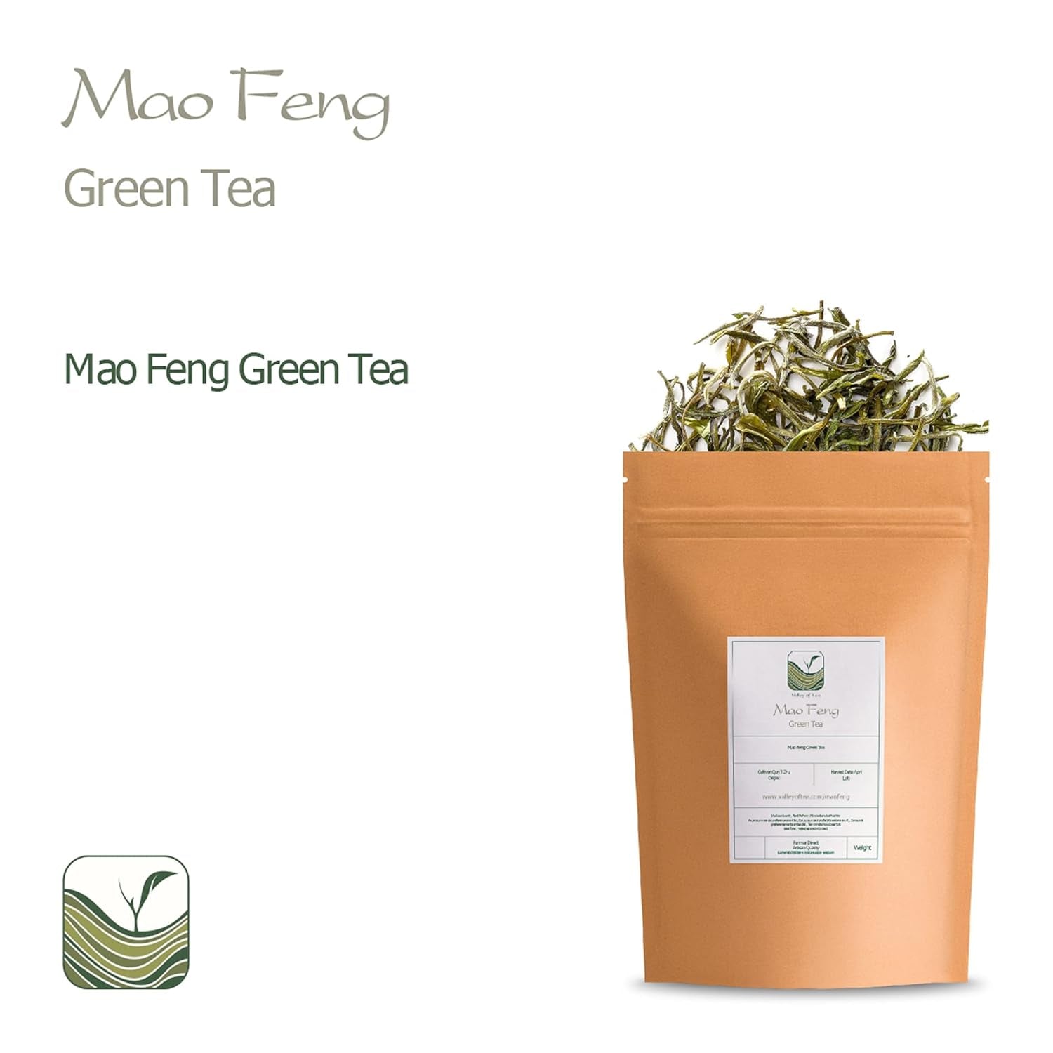 Zelený čaj Mao Feng Huangshan - slavný čínský čaj z Huang Shang - žluté hory Maofeng Lístky zeleného čaje Čína Čaj Mao Feng Organický zelený čaj Čínský zelený čaj Zelený čaj