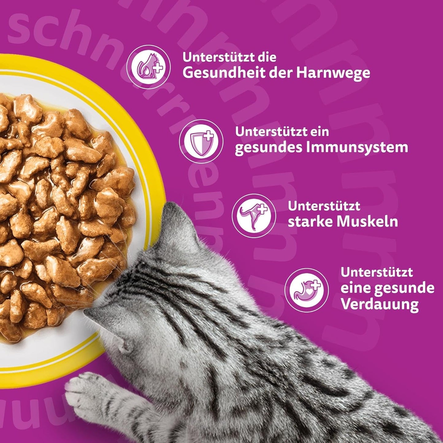 Whiskas 7+ Mokré krmivo pro kočky Výběr z drůbeže v omáčce 24 x 85 g (2 balení) - Vysoce kvalitní mokré krmivo od 7 let ve 48 porcích
