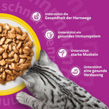 Whiskas 7+ Mokré krmivo pro kočky Výběr z drůbeže v omáčce 24 x 85 g (2 balení) - Vysoce kvalitní mokré krmivo od 7 let ve 48 porcích