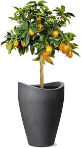 Scheurich Wave Globe High, vysoká plastová nádoba, černá žula, průměr 29,8 cm, výška 40 cm, objem 6 l.