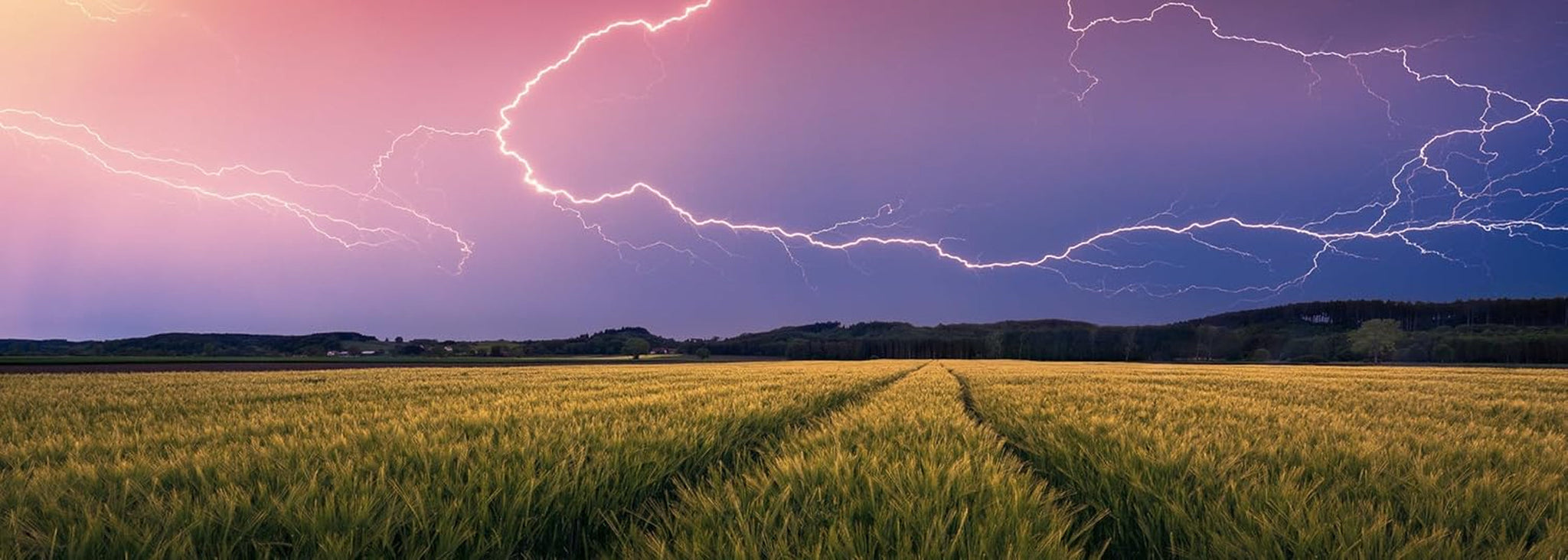 Ravensburger Nature Edition 17491 Summer Storm - 500dílné puzzle pro dospělé a děti od 12 let Puzzle Naty Shop Collage