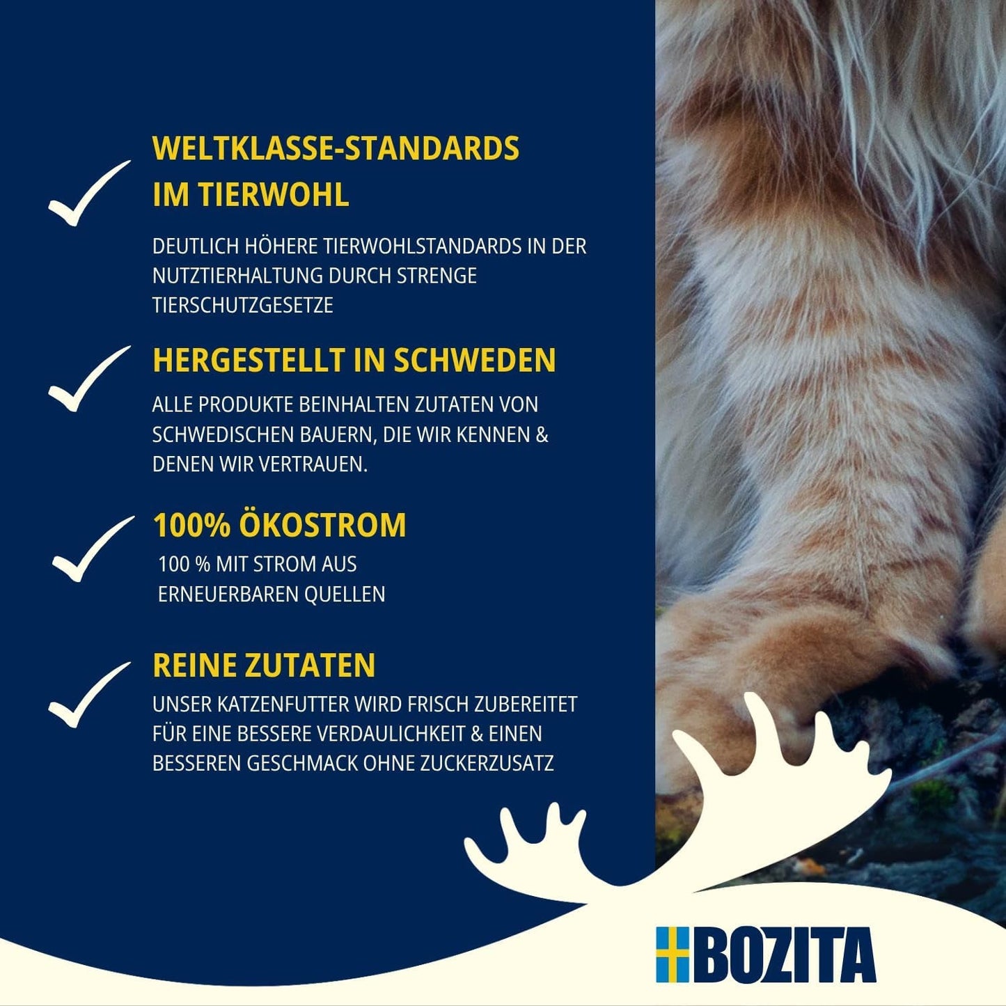 Bozita Mousse MSC Losos - 12 x 85 g vlhké krmivo pro kočky s jemnou texturou pěny a lososa - receptura bez obilovin, bez přidaného cukru a barviv - s postbiotiky pro podporu střevní flóry