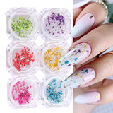 EYVRPAU 6 Stück Nail Art Sada květin Dekorace, Gelnägel Zubehör 6 Farben, Nail Art Aufkleber Trockene Blumen Kit Getrocknete Blumen Zubehör Set DIY Nageldekoration