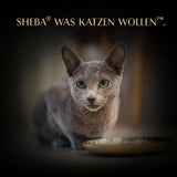 SHEBA Filé pro dospělé Katzenfutter v omáčce s kuřecím masem, Hochseefisch und Garnelen 16 x 60 g skořápka