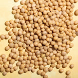 Wholefood Earth soja - non-GMO - natural - vegan - bez mléčných výrobků - bez přidaného cukru 1 kg