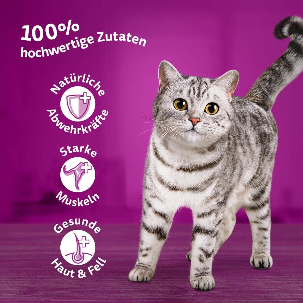 Whiskas 1+ mokré krmivo pro kočky s kuřecím masem v želé, 28x85g (1 balení) - Vysoce kvalitní mokré krmivo pro dospělé kočky v sáčcích po 28 porcích