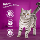 Whiskas 1+ mokré krmivo pro kočky s kuřecím masem v želé, 28x85g (1 balení) - Vysoce kvalitní mokré krmivo pro dospělé kočky v sáčcích po 28 porcích