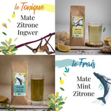 ORIGEENS BIO MATE ČAJOVÁ DÁRKOVÁ SADA X4 I Yerba Mate Bio 4X80G I Yerba Mate čajová sada, tip na dárek