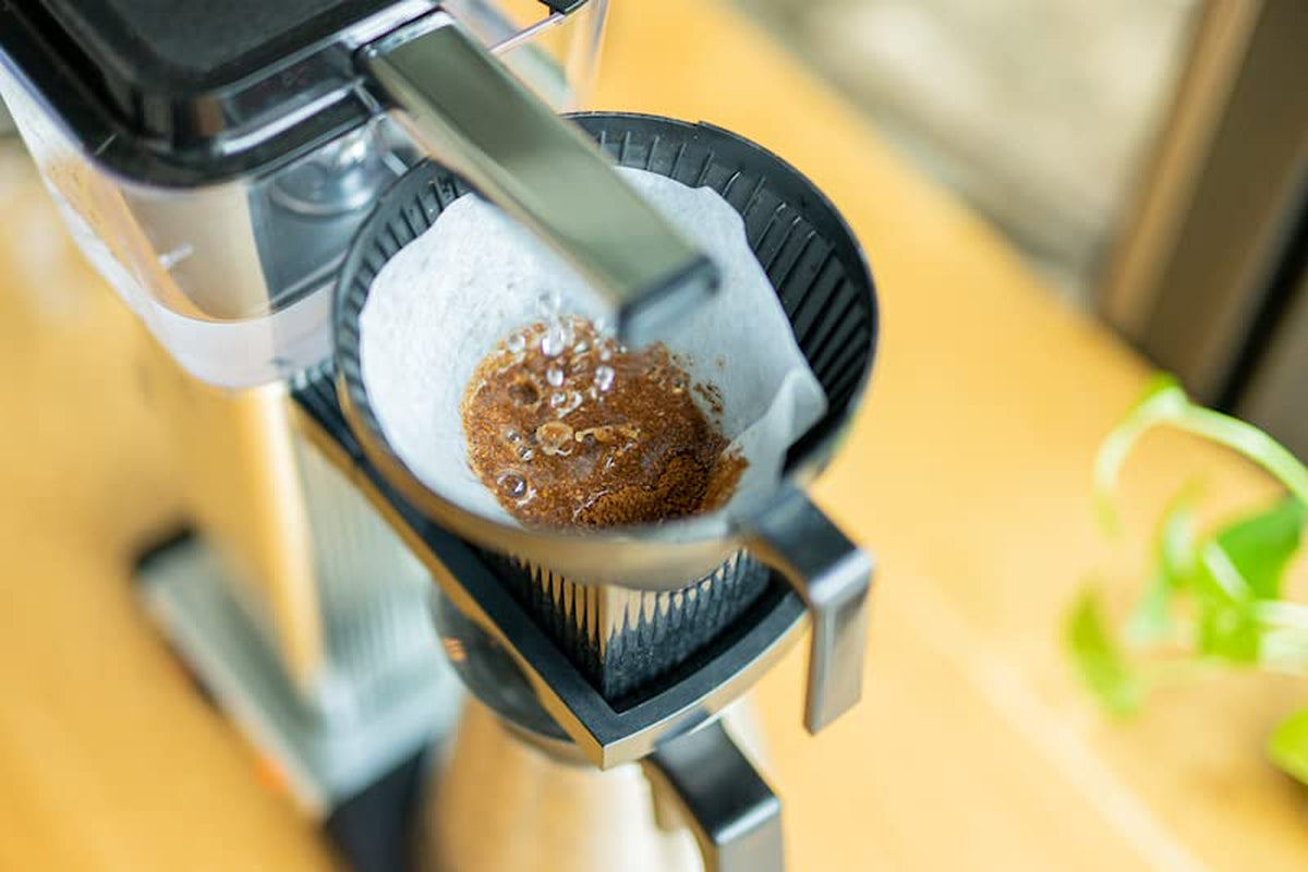Spring Bloom Filter | 250 g celých zrn | spravedlivé a udržitelné | čerstvě smažené | kávová zrna 100% Arabica | speciální káva | 19 gramů Cafe Roastery…