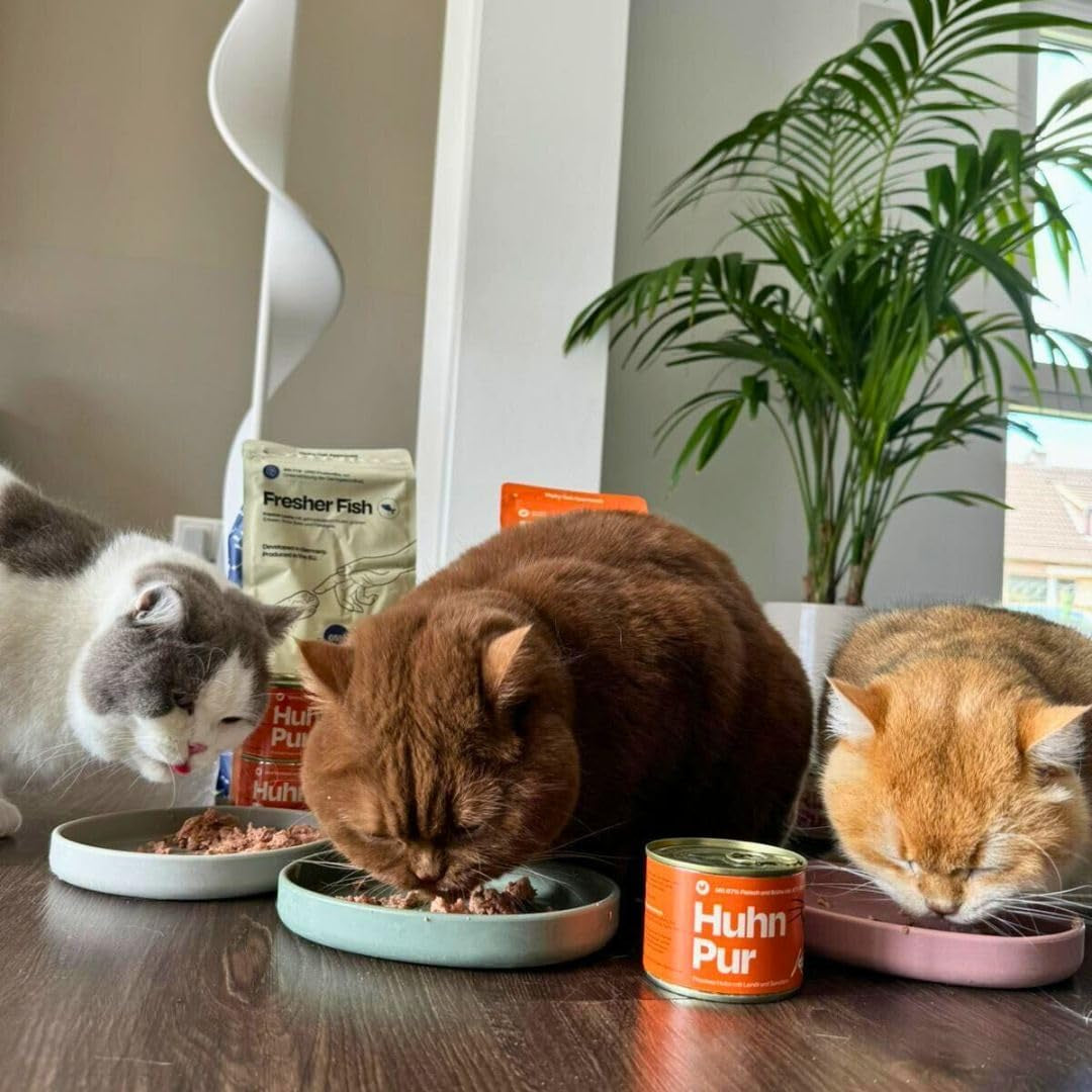 The Better Cat - Mokré krmivo bez obilovin s extra vysokým obsahem masa - Prémiové krmivo pro kočky bez obilovin a cukru (200 g, kuře)