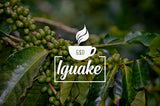 Káva Iguaque 1000gr | Premium Kaffee ganze Bohnen 100% Arabica z Kolumbie | Familienbetrieb - Single Origin Kaffeebohnen - Nachhaltige eigene Plantage im Hochland - Kräftiges Aroma