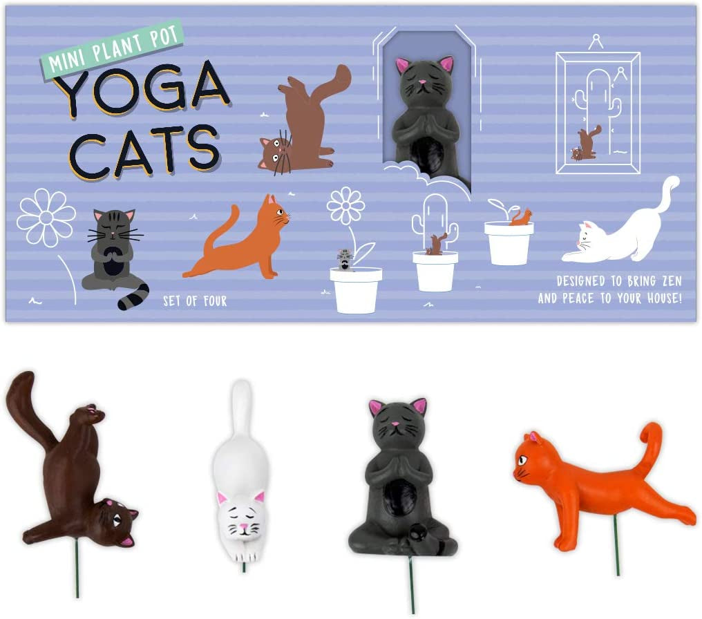 Dárek Republic Mini květináč Yoga Cats, Multicolor, 1