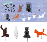 Dárek Republic Mini květináč Yoga Cats, Multicolor, 1