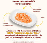 Almo Nature HFC Jelly - vlhké krmivo pro dospělé kočky - losos a mrkev - lidská kvalita, bez lepku - 6 x 70 g