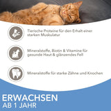 IAMS Delights Sea Collection Katzenfutter Nass - Multipack mit Fisch Sorten (Lachs, Thunfisch, Makreel, Seefisch) v omáčce, Nassfutter für Katzen od 1 Jahr, 12 x 85 g