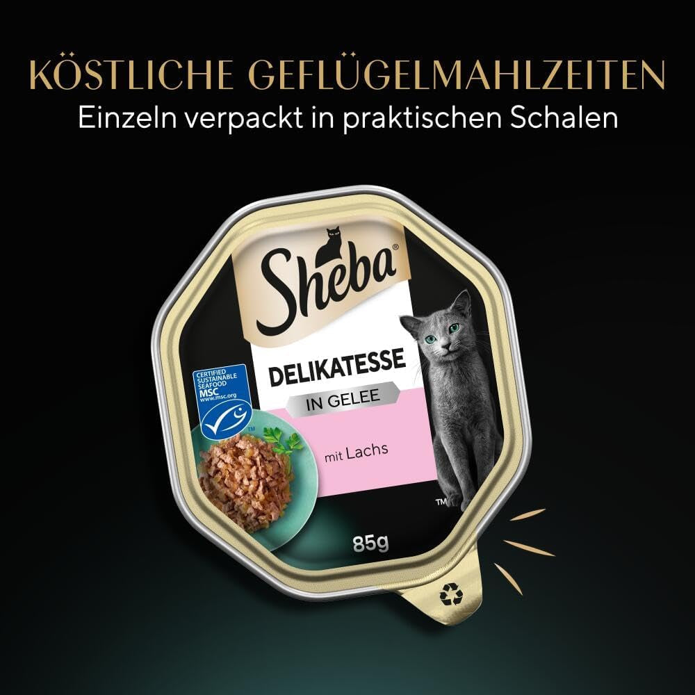 Sheba Mokré krmivo pro kočky, delikatesy v lososovém želé, 2 x 11 x 85 g