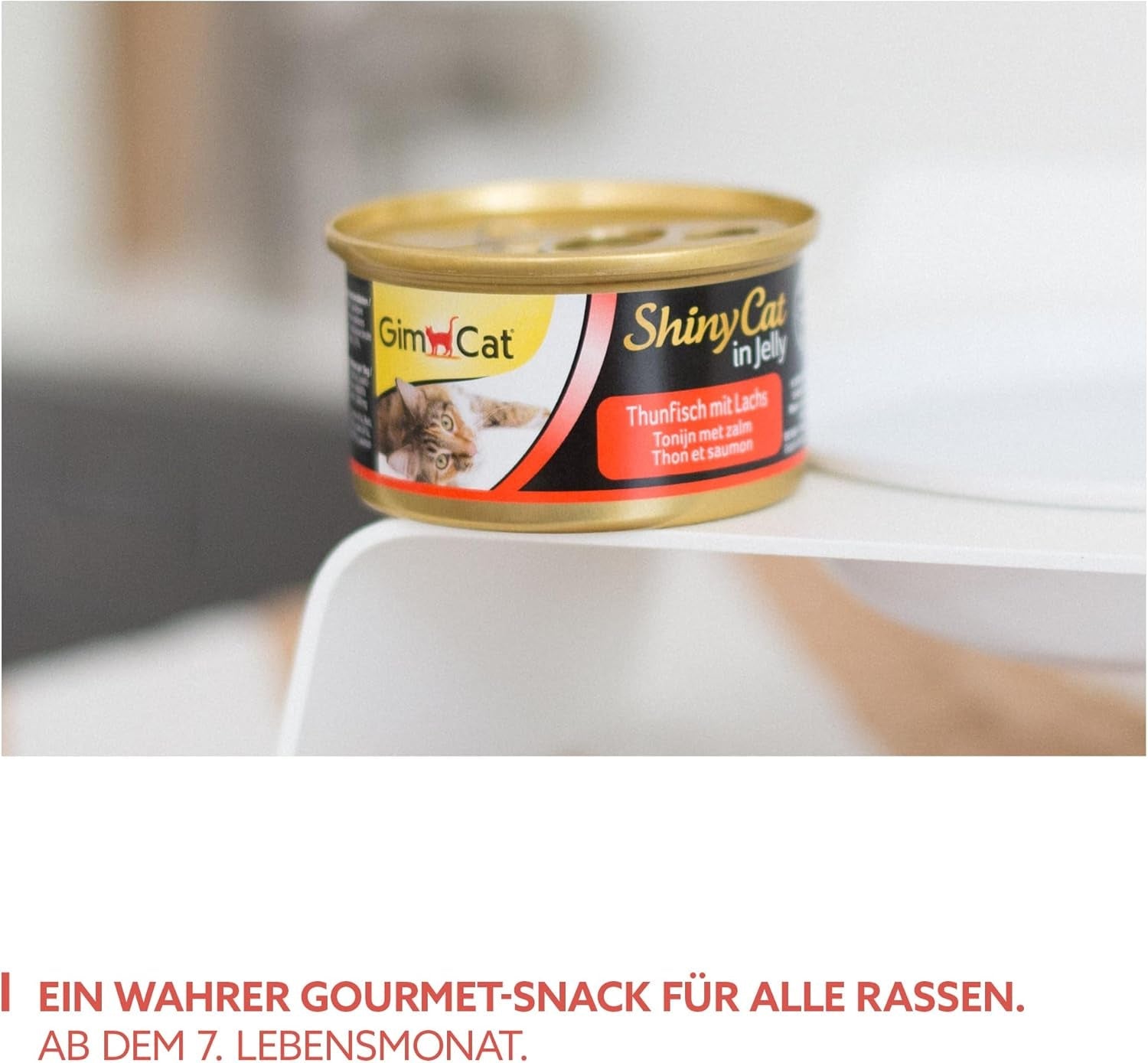 GimCat ShinyCat in Jelly Thunfisch mit Lachs - Nassfutter mit Fisch und Taurin für Katzen - 24 dávek (24 x 70 g)