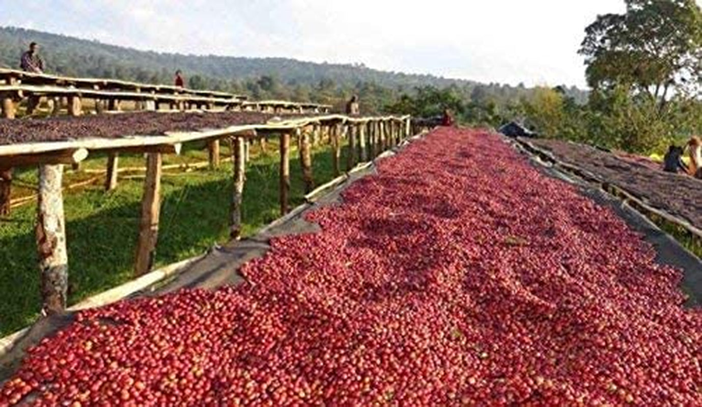 Zrnková káva bez kofeinu 1 kg přírodní 100% - Espresso Intenzivní chuť z Kolumbie a Brazílie.