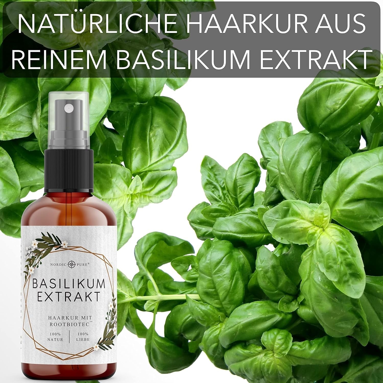 Vlasová kúra s výtažkem z bazalky z Nordic Pure | Pro péči o tenké, suché a křehké vlasy | Může zabránit vypadávání vlasů 100ml vlasová péče Naty Shop