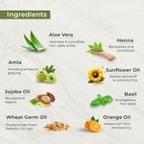 Gelová barva na vlasy Indus Valley Natural Damage Free | Bez amoniaku, bez veganů a bez krutosti | Až 100% krytí šedin, dlouhotrvající výsledky | Světlý kaštan 5,0 (20 gramů + 200 ml) Barva na vlasy Naty Shop