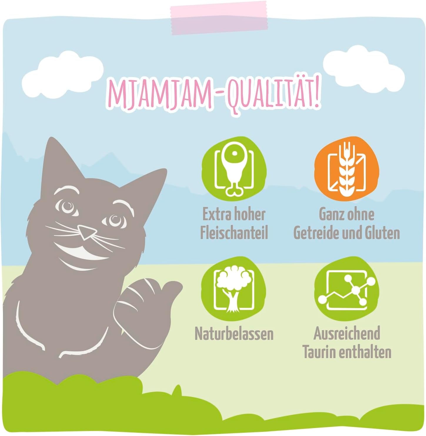 MjAMjAM - prémiové mokré krmivo pro kočky - šťavnaté kuře a divoký losos 6 balení (6 x 400 g) bez obilovin s extra masem