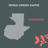 Melitta Manufaktur-Kaffee Guatemala Honey, Spezialitäten, 250 g, Ganze Bohnen, Ungemahlen, Single-Origin, Sanfte Trommelröstung, Geröstet in Deutschland, Stärke 3