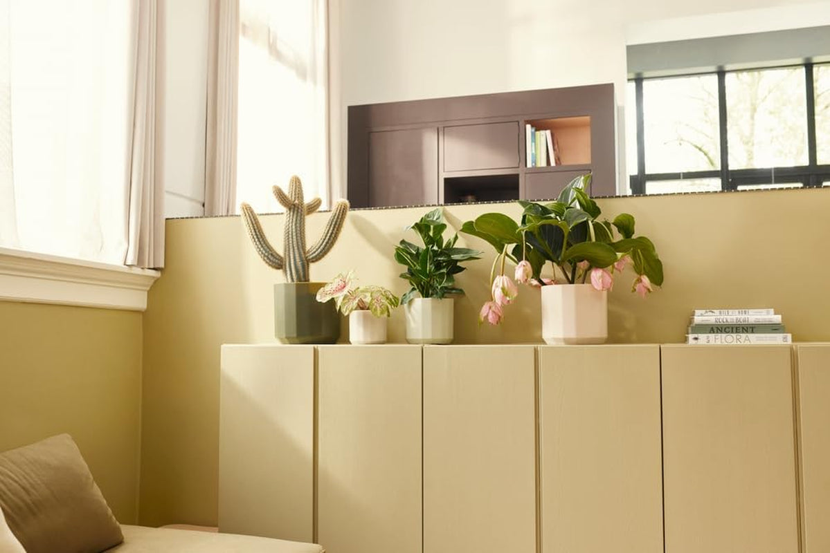 Kulatý hrnec elho Facet 23cm - pro vnitřní použití - 100% recyklovaný plast - Ø 22,7 x V 20,4 cm - Růžová/Mandlově růžová