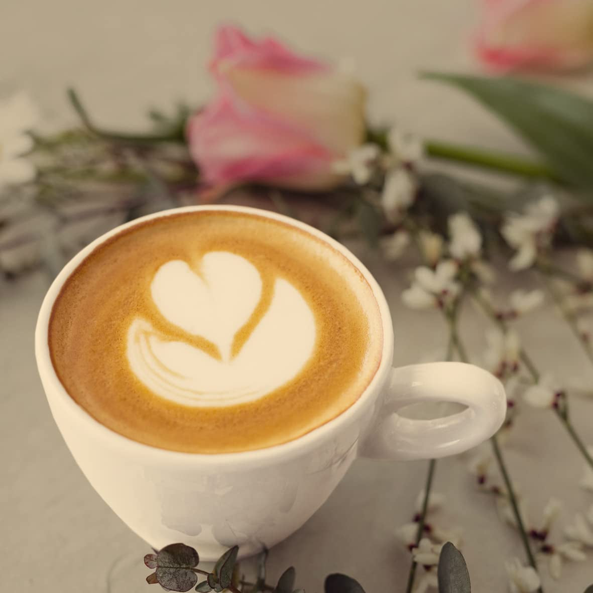 - Mocha 1000g | Silná káva pro Schümli a espresso z plně automatických strojů | Celá pražená kávová zrna | S 90 % zrn Arabica