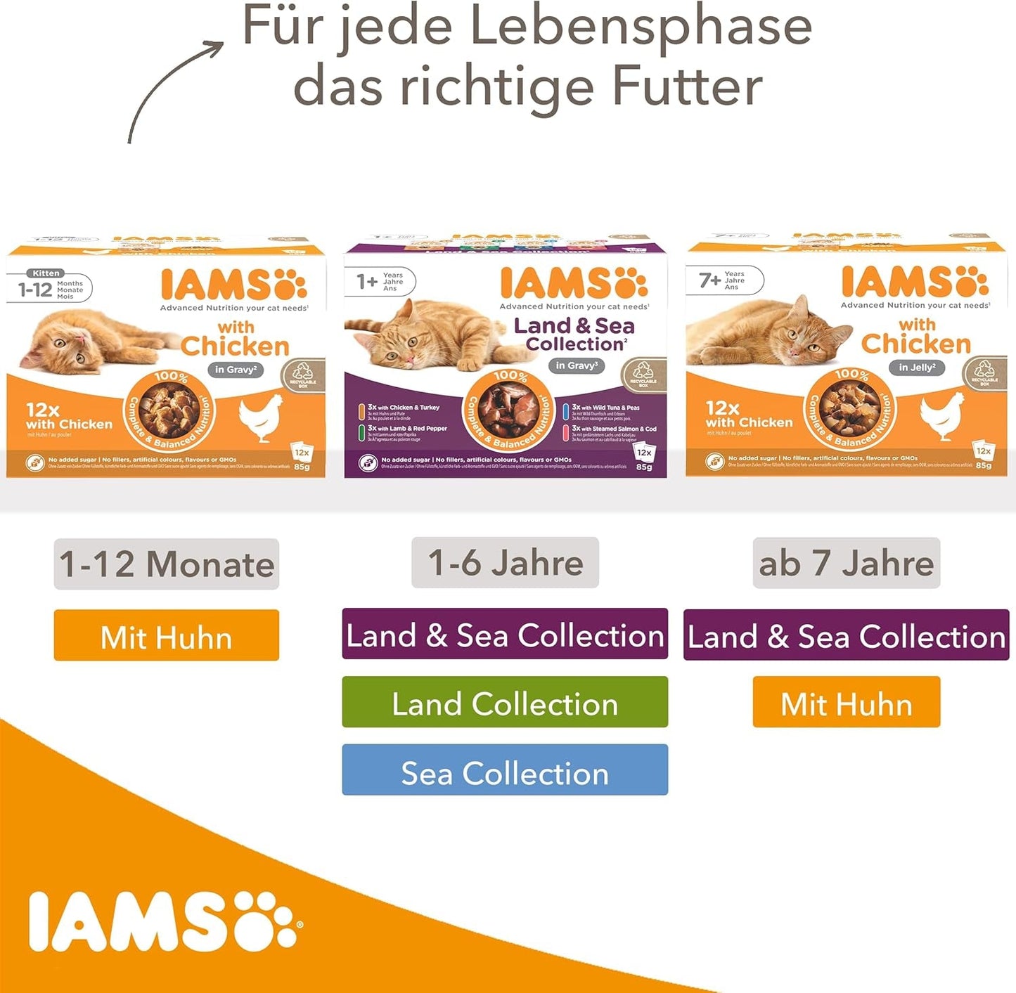 IAMS Delights Sea Collection Katzenfutter Nass - Multipack mit Fisch Sorten (Lachs, Thunfisch, Makreel, Seefisch) v omáčce, Nassfutter für Katzen od 1 Jahr, 12 x 85 g