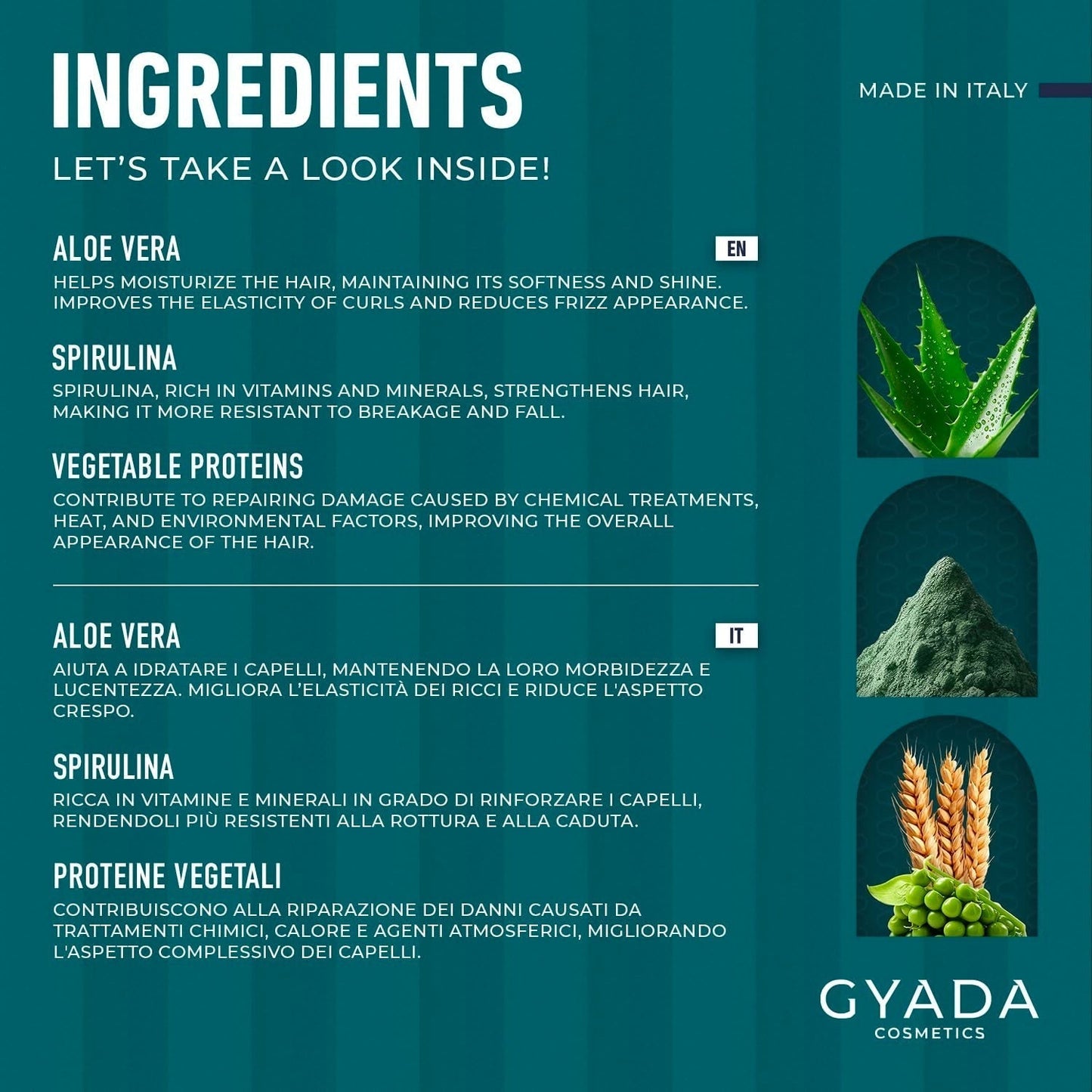 GYADA COSMETICS Spirulina Balíček pro posílení vlasů Vyživující proti vypadávání vlasů Dual Tips Works 250 ml + hřeben z bukového dřeva Ideální pro rozčesávání všech typů vlasů Maska na vlasy Naty Shop