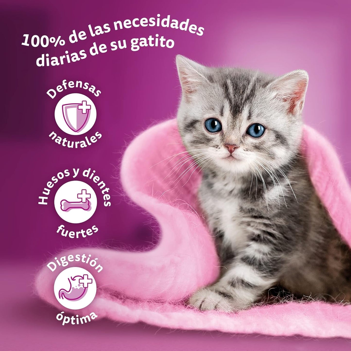 Whiskas Junior Classic mokré krmivo pro kočky, 13 x 4 x 85 g