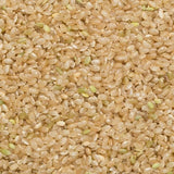 Wholefood Earth krátkozrnná hnědá rýže - bez GMO - přírodní - veganská - bez mléčných výrobků - bez přidaného cukru, 3 kg