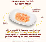 Almo Nature HFC Jelly - Nassfutter für ausgewachsene Katzen - Lachs - Human Grade, Bez lepku a Monoprotein - 6 x 70 g