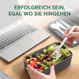 Umami Lunch Box pro dospělé, Stohovatelný Bento Box se 4 příbory a přihrádkami, Box na oběd pro dospělé, Zásobník na salát, Piknik / Kancelář Lunch Box, Charcoal Grey, 1500 ml krabičky na potraviny Naty Shop
