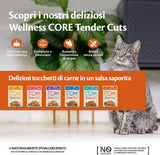 Wellness CORE Tender Cuts 6 x 85g, Chicken Selection Mix - Mokré krmivo pro kočky, jemné kousky v omáčce, bez obilovin, přírodní, hypoalergenní, bohaté na bílkoviny, vysoký obsah masa