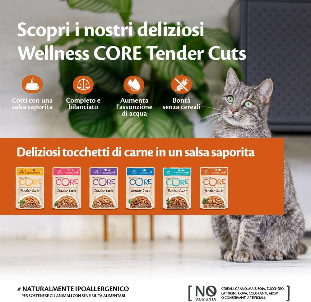 Wellness CORE Tender Cuts 6 x 85g, Chicken Selection Mix - Mokré krmivo pro kočky, jemné kousky v omáčce, bez obilovin, přírodní, hypoalergenní, bohaté na bílkoviny, vysoký obsah masa