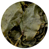 GOURTEA Tchajwanský zelený čaj Dong Ding Oolong 250 g / 8,8 oz Vysoce kvalitní zelený čaj Tung Ting Oolong Dongding Oolong Horský čaj Oolong