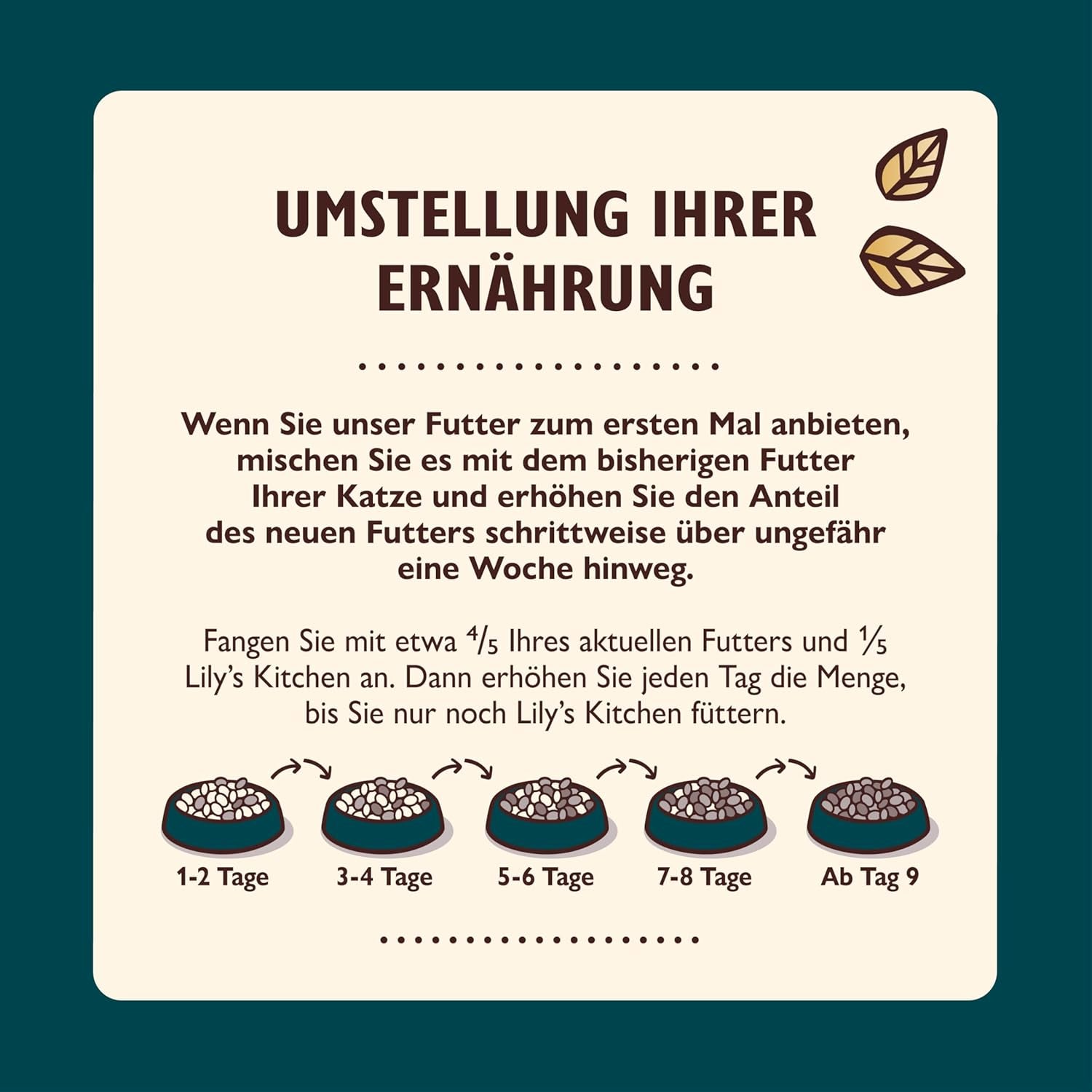 Lily's Kitchen Aus Naturichen Ingredience hermestellung Zerkleinerte Filets in Gelee mit Hühnchen und Lachs Ausgewachsen Nassfutter für Katzen 70 g Dose
