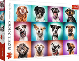 Trefl TR27119 Funny Dog Portraits II 2000 kusů, prémiová kvalita, pro dospělé a děti od 12 let Puzzle, barevné puzzle Naty Shop Výchozí název
