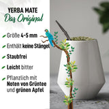 ORIGEENS BIO YERBA MATE TEA 1 KG - The Original I Nepražený, listy, bez stonků, prachu a drobků I Energizující a detoxikační nápoj