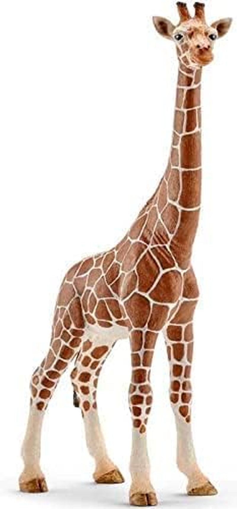 Schleich 15024 Pachycephalosaurus, pro děti od 5-12 let, DINOSAUŘI - hrací figurka Akční figurky Naty Shop