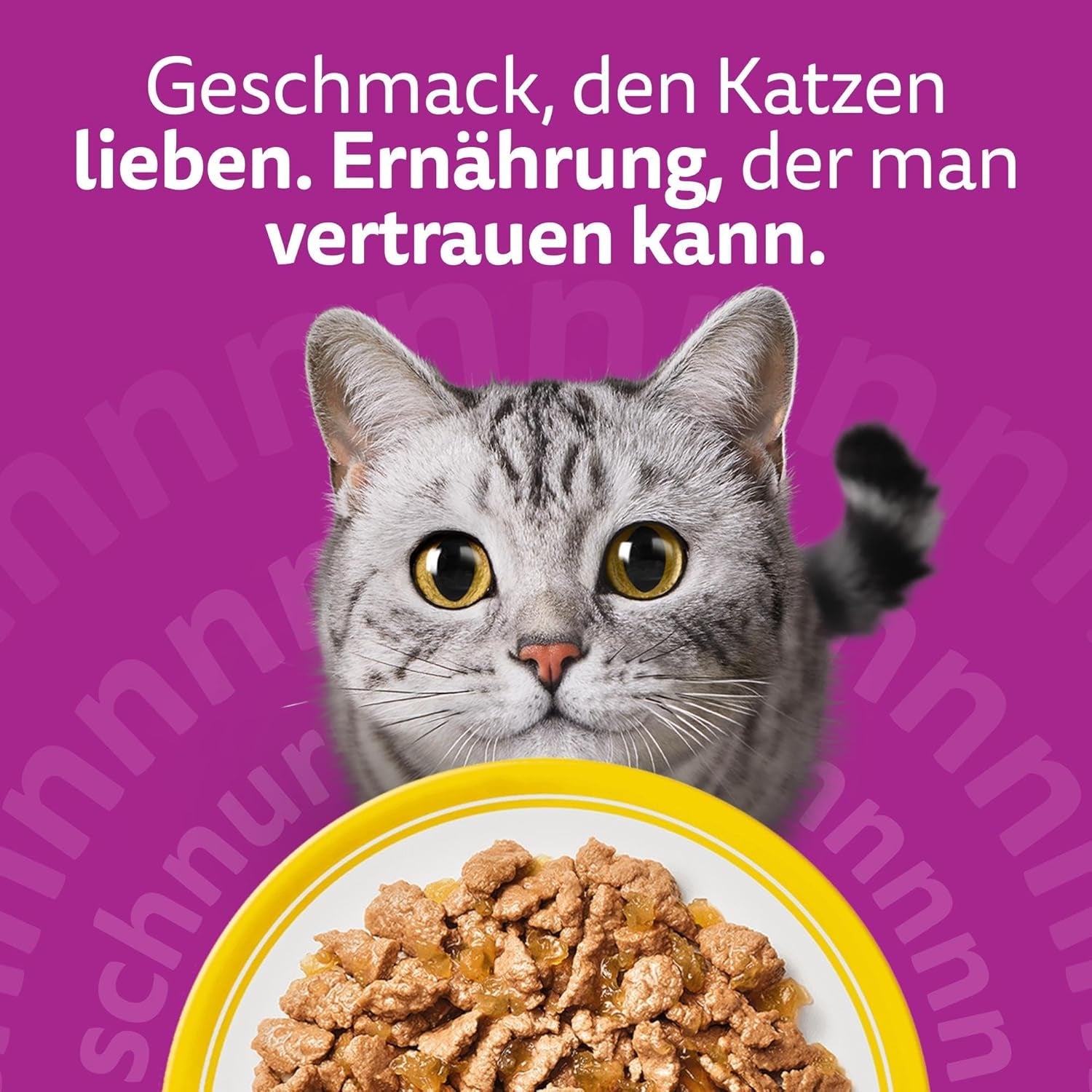 WHISKAS Mokré krmivo pro kočky v želé 120 x 85g Výběr z drůbeže