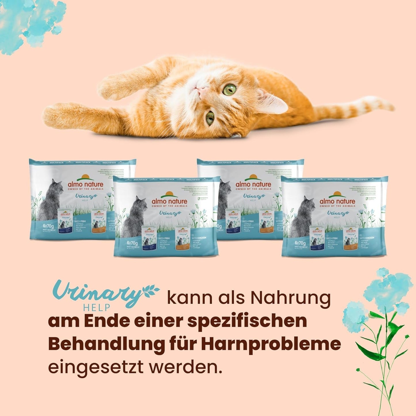 Almo Nature Functional Urinary Help - Nassfutter für ausgewachsene Katzen mit Fisch - Unterstützung für die Gesundheit der Harnwege - 30 sáčků à 70g