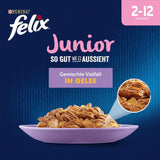 Felix Tak dobře, jak to vypadá Junior Mokré krmivo v želé pro koťata, různé směsi, balení 6 ks (6 x 12 sáčků po 85 g)