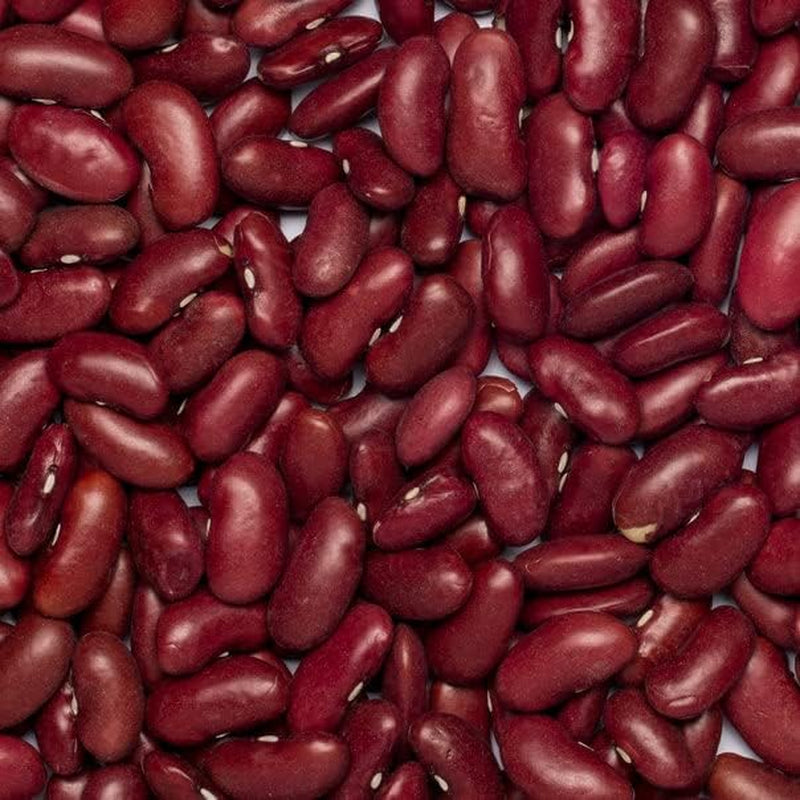 Červené fazole Wholefood Earth Organic 1kg Raw | Vegan | Bez GMO | Tmavě červená | Bohaté na vlákninu | Bohaté na bílkoviny | Certifikované organické